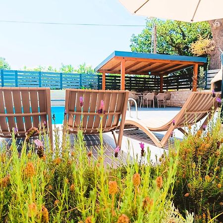 Villa Twins Sukosan With Heated Pool Extérieur photo